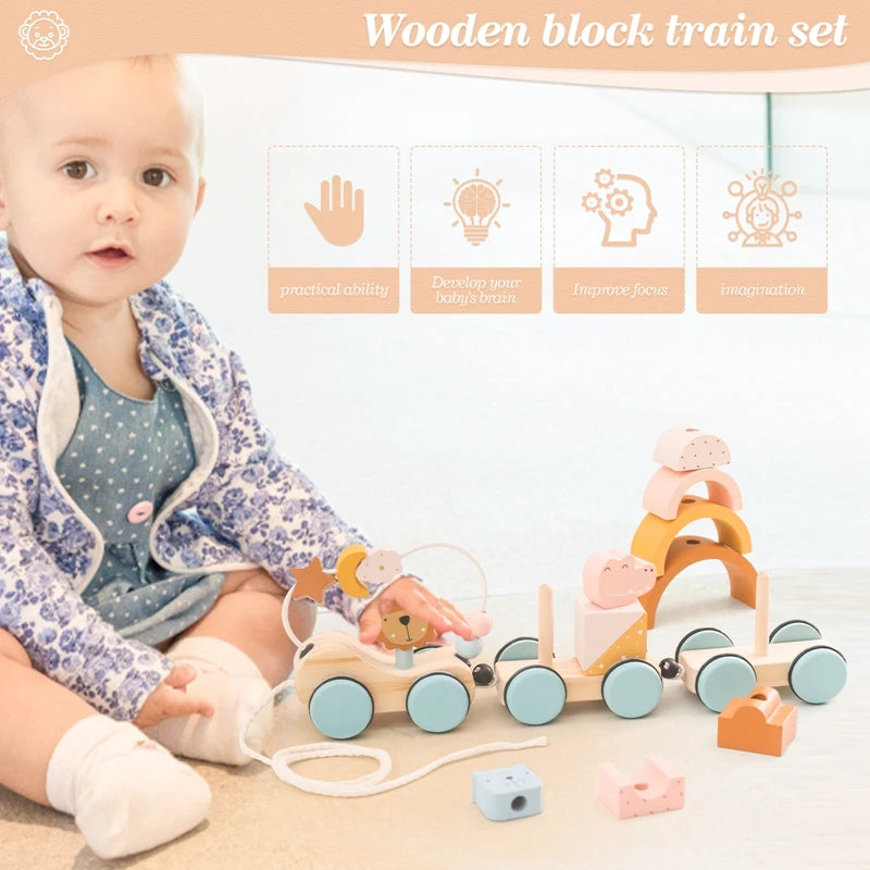Wooden Montessori Toys Animal Block Train