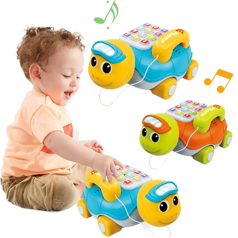 New Musical Turtle Crawling
